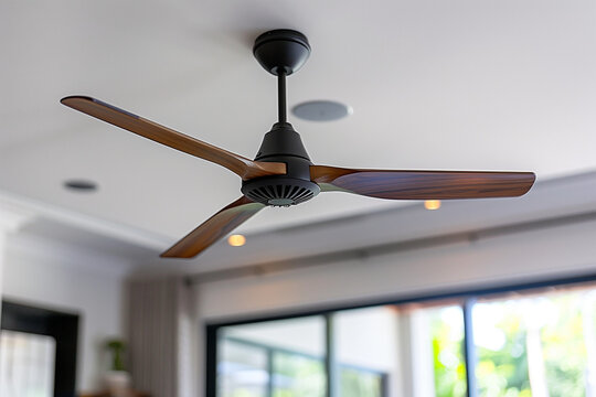 Ceiling Fan Replacement and Installation